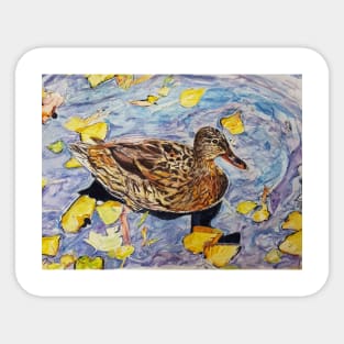 Mallard Duck in Autumn Leaves Sticker